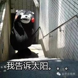 搞笑的太阳视频,笑到肚子疼的欢乐瞬间