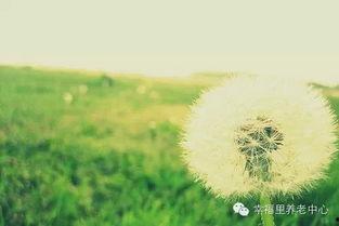 心灵安静的图片,心灵安静之美